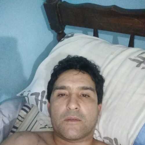 nolosit068