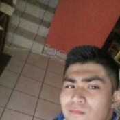 rodo526