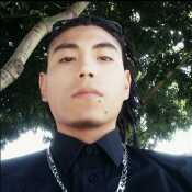 regga758