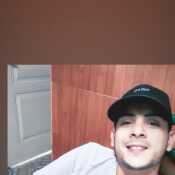 Alelin29