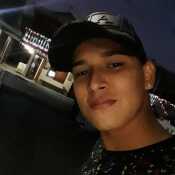 pardo37