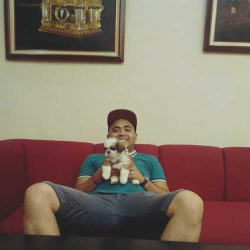 IamZayn
