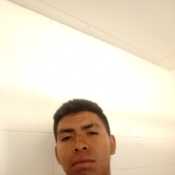 elf1ch229