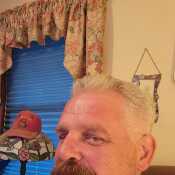 Davidwood528