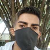 layro244