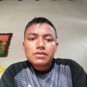 lino201