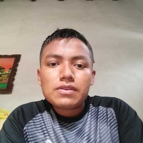 lino201