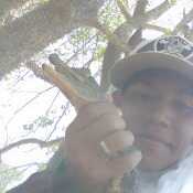 HonestMaverickchcbfc