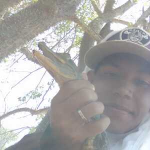 HonestMaverickchcbfc