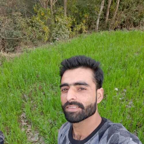 fb15xyzChandigarh