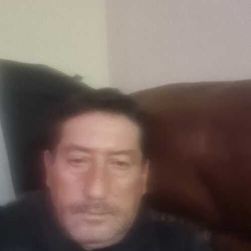 seguracar734