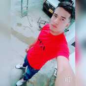 1roberthalbar685