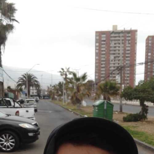 Bdrsexx