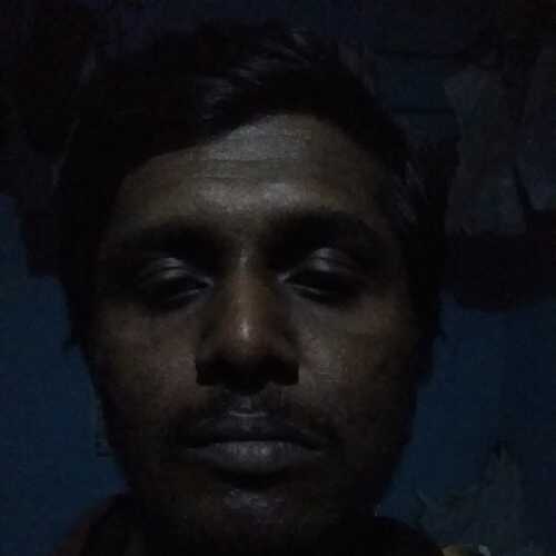 papusath600
