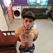 ELOIS19