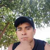Salomontavera
