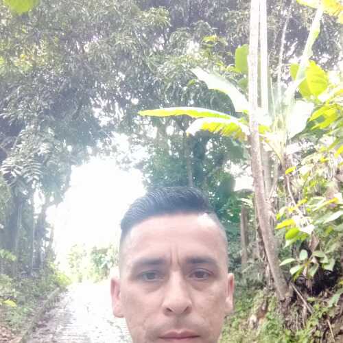 leis1204