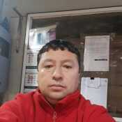 rene81