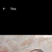 Tico