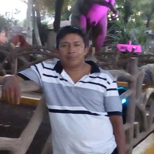 Alex250qhgxe