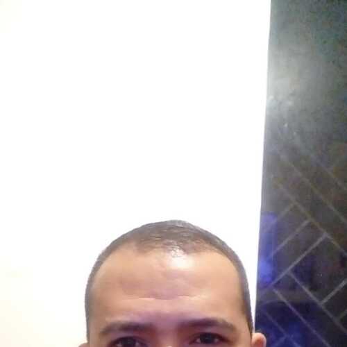 alber665