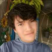 hkcjbhgbbjcvjjbh172