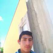 fut803
