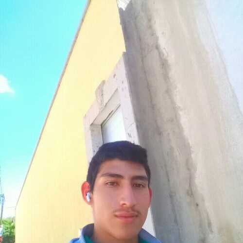 fut803