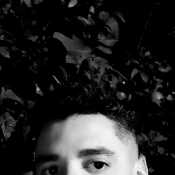 Dariodan00