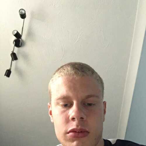 henryk589