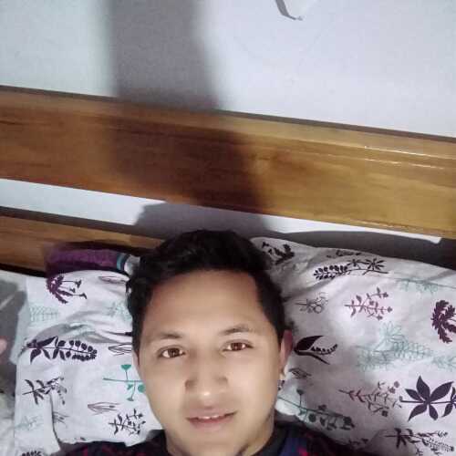 alam499