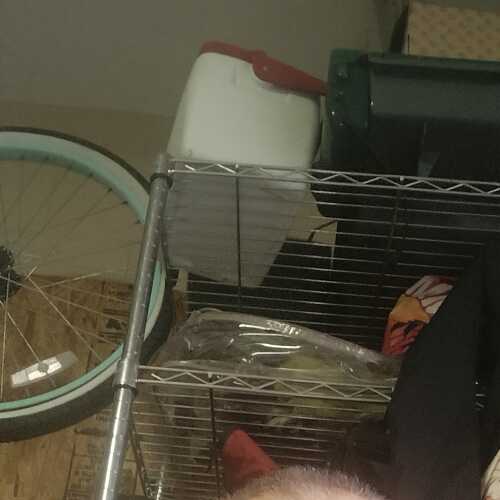 Freezey