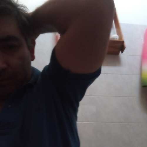 segime772