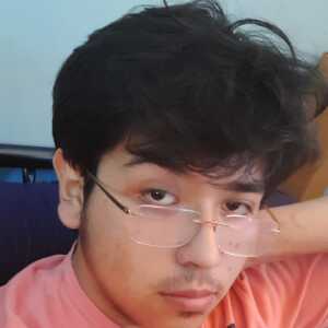 IntelligentPrincessfgjdff