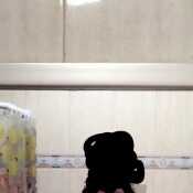 pnoelexi821