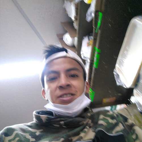 Gerado11