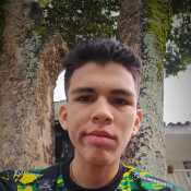 Coqe33