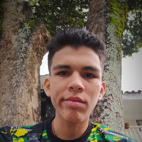 Coqe33