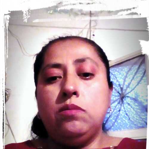 sus597pac