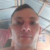 dago499