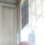 manolovelasqu833
