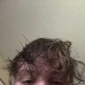 Willsub
