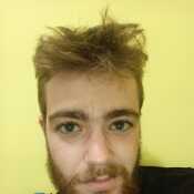 Ardelino