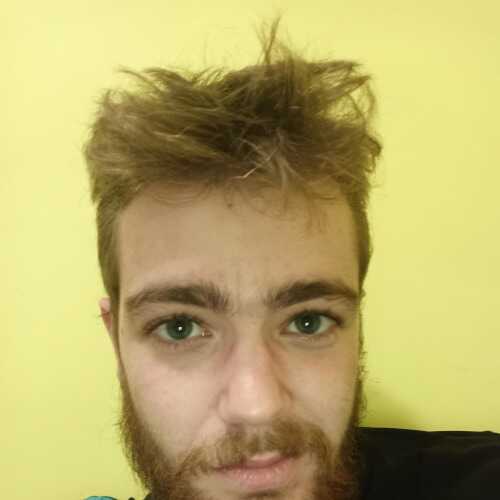 Ardelino