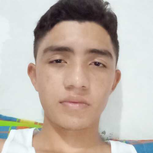 sebastianvarelapalla528