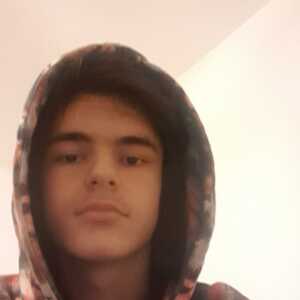 asdrendat113