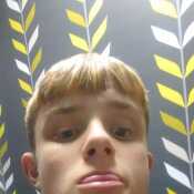 Bigdicktom11
