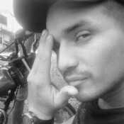windowmer593
