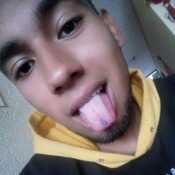 Kamoandres