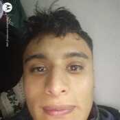 bastidasbra940